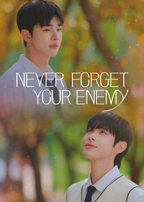 Never Forget Your Enemy poster