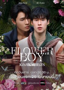 Flower Boy poster