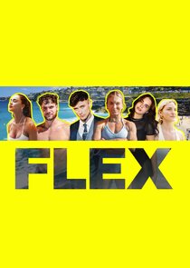 FLEX poster